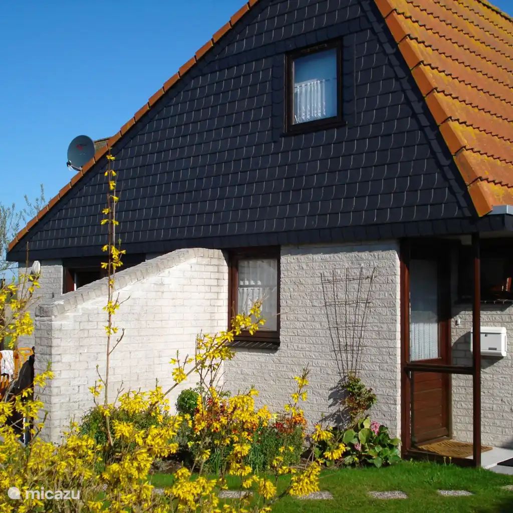 Unterkunft 450231 - Ferienhaus Noordzeekust - Vakantiehuis Tulpenzicht