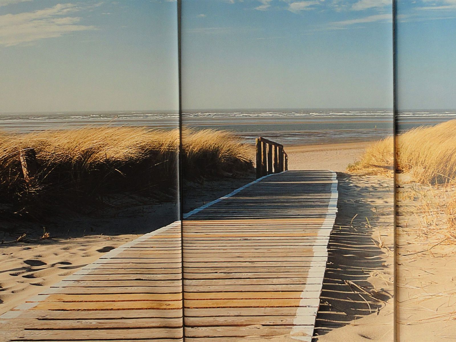 Unterkunft 4503153 - Ferienhaus Noordzeekust - Vakantiehuis Sommerhaus "De Zeester"