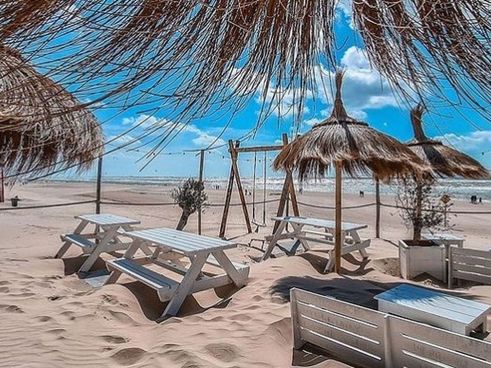 Unterkunft 4503153 - Ferienhaus Noordzeekust - Vakantiehuis Sommerhaus "De Zeester"