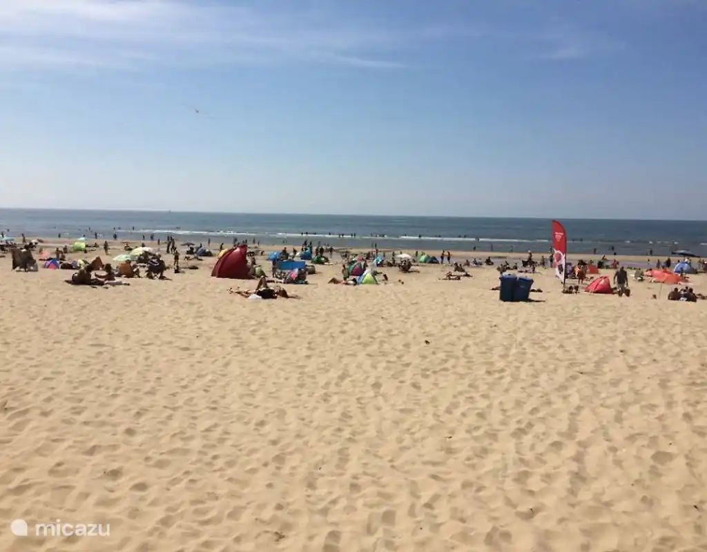 Guest house 4503197 - Apartment Noordzeekust - Strand 166