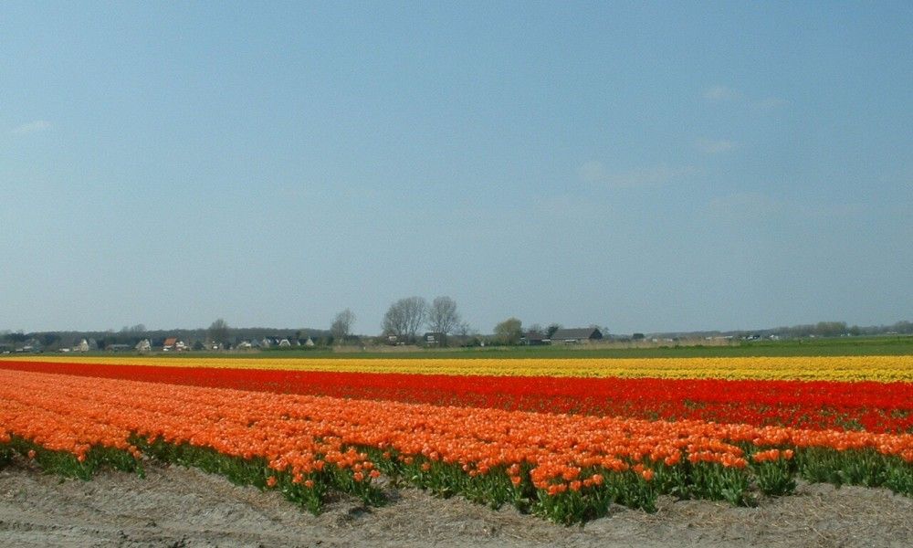Verblijf 4503209 - Vakantiewoning Noordzeekust - Zomerhuis Ruiter