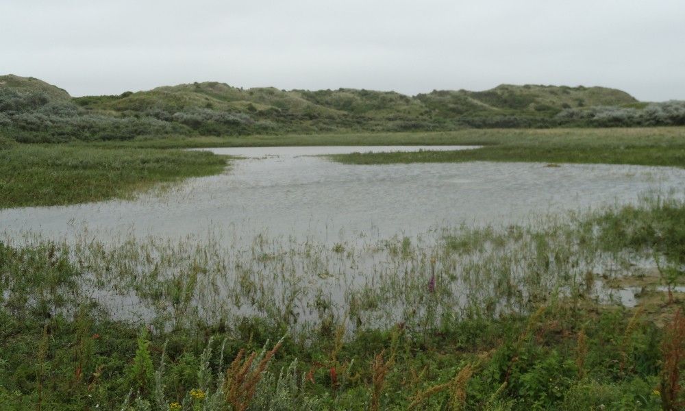 Verblijf 4503209 - Vakantiewoning Noordzeekust - Zomerhuis Ruiter