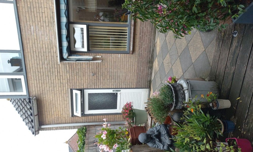 Foto 19