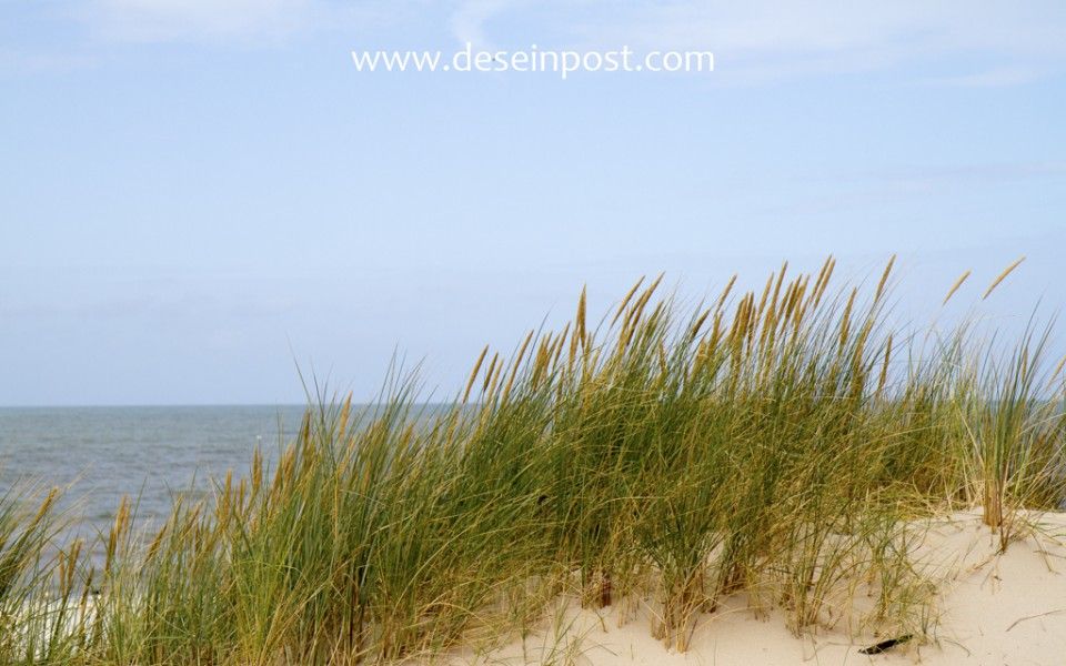 Unterkunft 450401 - Bungalow Noordzeekust - Callantsoog de Seinpost nr 9