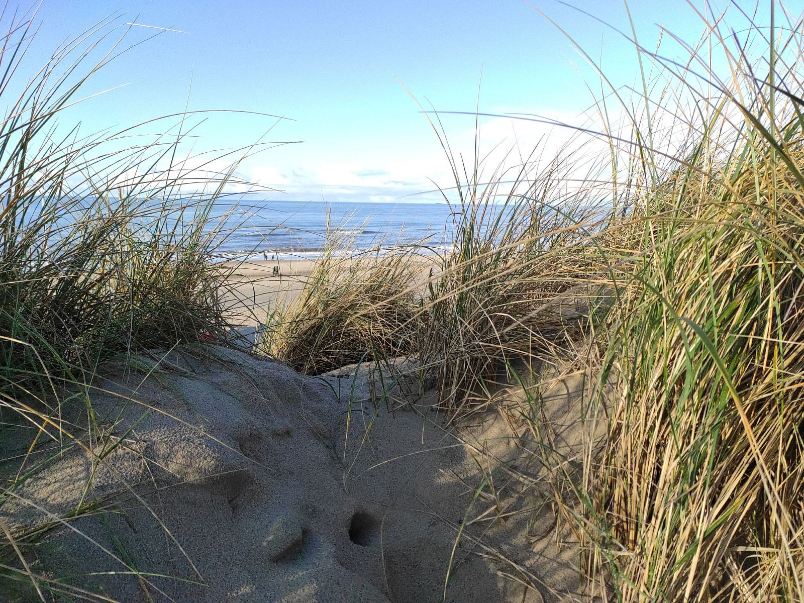 Unterkunft 4504127 - Ferienhaus Noordzeekust - Vakantiehuis Stuivezandeweg 6, Nähe Strand