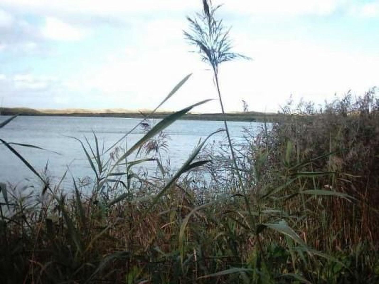 Unterkunft 4504134 - Ferienhaus Noordzeekust - Vakantiehuis Gemütliches Ferienhaus De Blenck