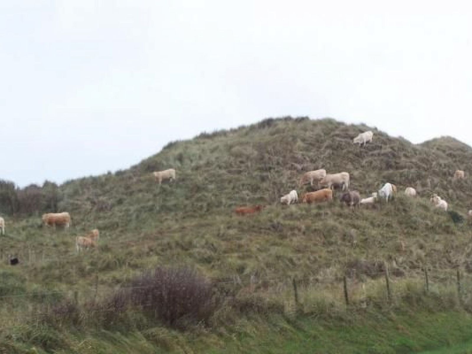 Unterkunft 4504134 - Ferienhaus Noordzeekust - Vakantiehuis Gemütliches Ferienhaus De Blenck