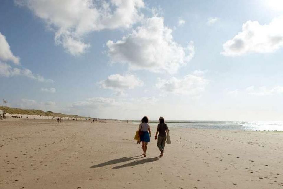 Bluehende Tulpenfelder rund um die Duinerei A202 Groote Keeten, Ferienunterkunft an der Nordseekueste in Callantsoog, Nordholland.