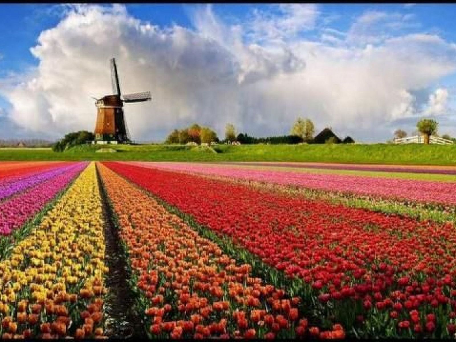 Guest house 4504149 - Holiday property Noordzeekust - Vakantiehuis Gemütlicher Bungalow für 4 Personen