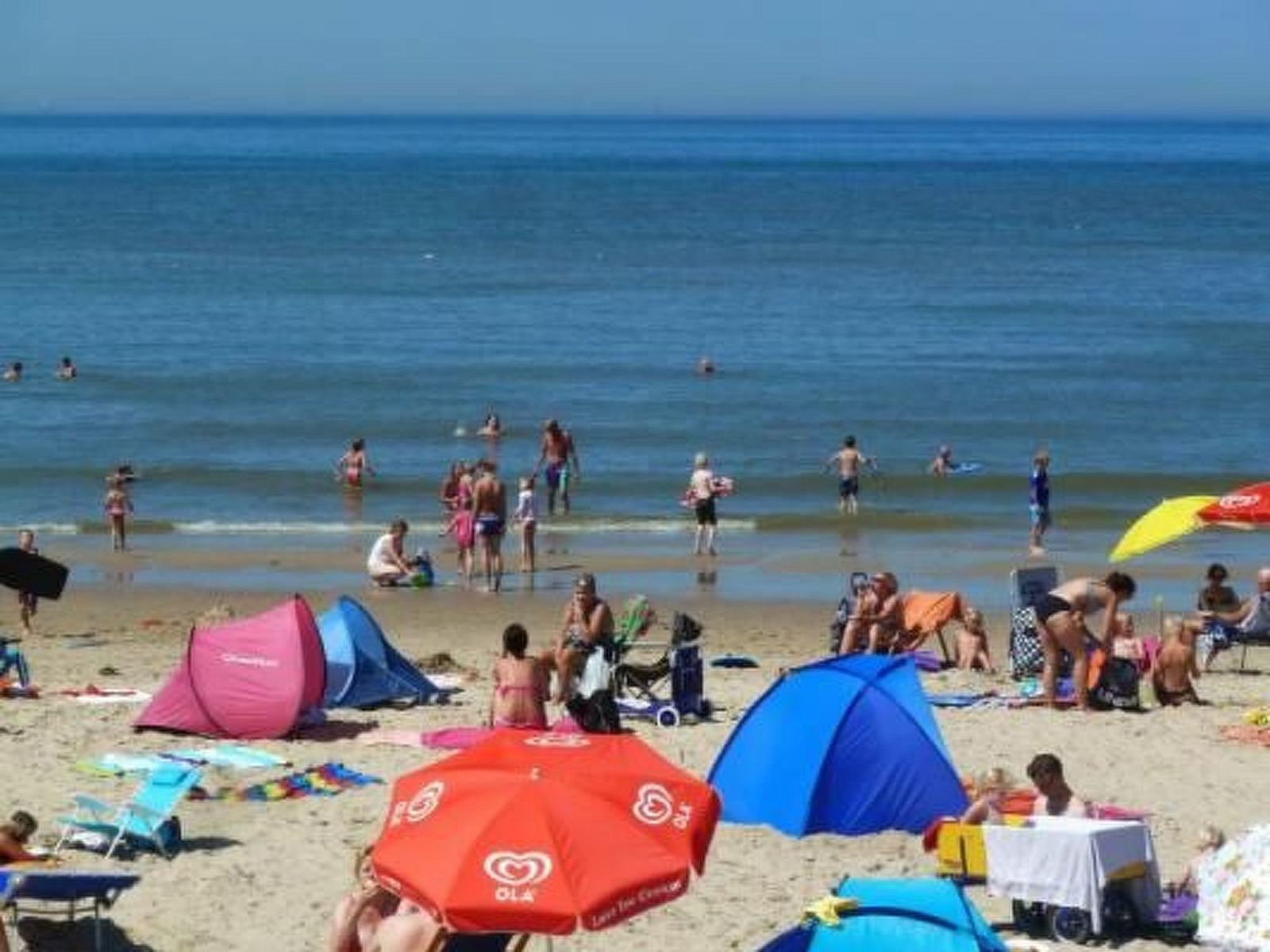 Guest house 4504149 - Holiday property Noordzeekust - Vakantiehuis Gemütlicher Bungalow für 4 Personen