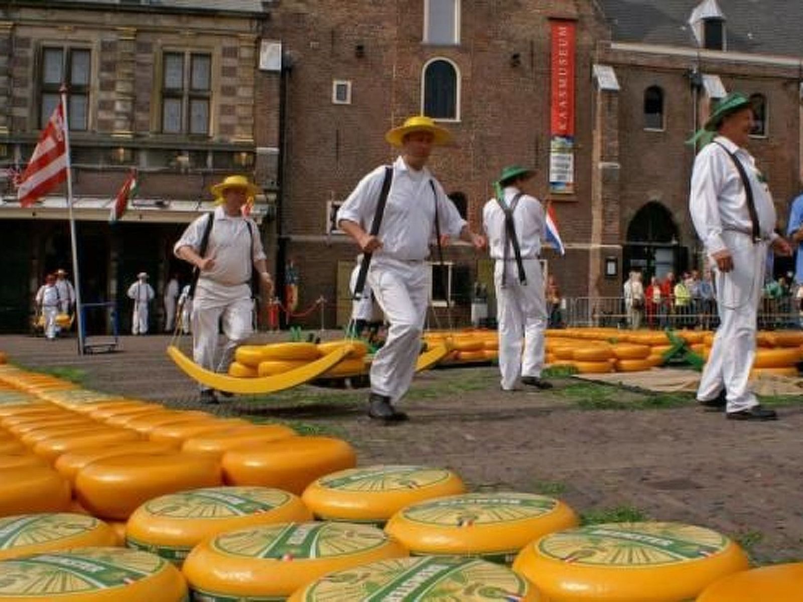 Guest house 4504149 - Holiday property Noordzeekust - Vakantiehuis Gemütlicher Bungalow für 4 Personen