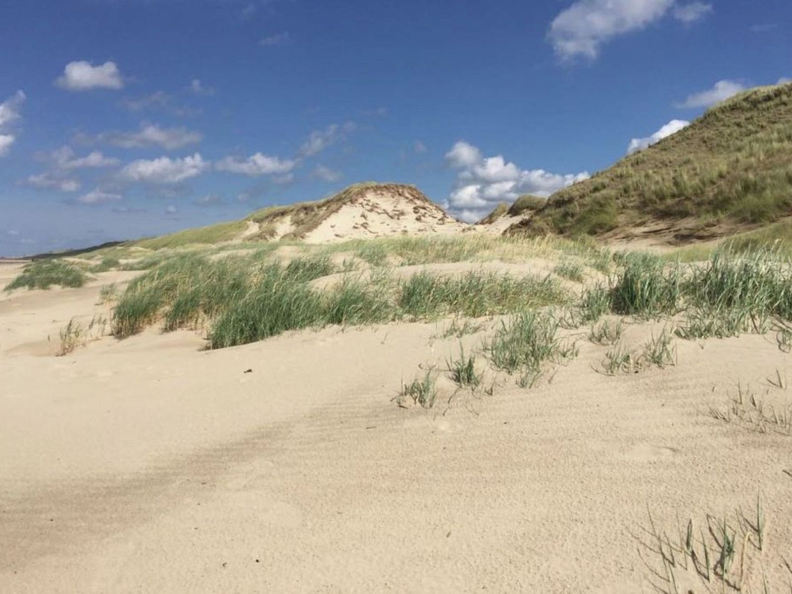 Guest house 4504150 - Holiday property Noordzeekust - Vakantiehuis Ferienbungalow Abbes mit Garten und Terrasse