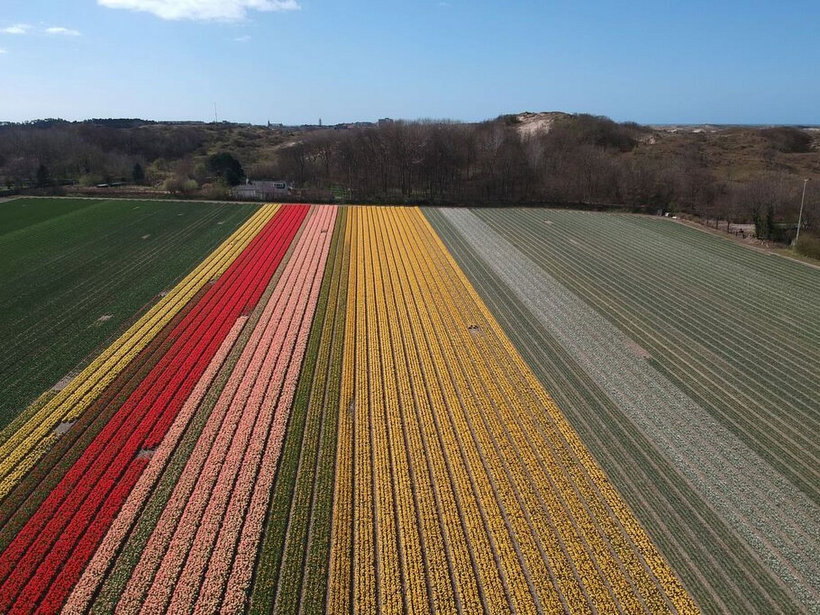 Guest house 4504150 - Holiday property Noordzeekust - Vakantiehuis Ferienbungalow Abbes mit Garten und Terrasse