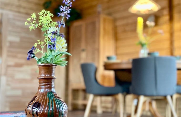 Unterkunft 450415 - Ferienhaus Noordzeekust - Vakantiehuis in Callantsoog