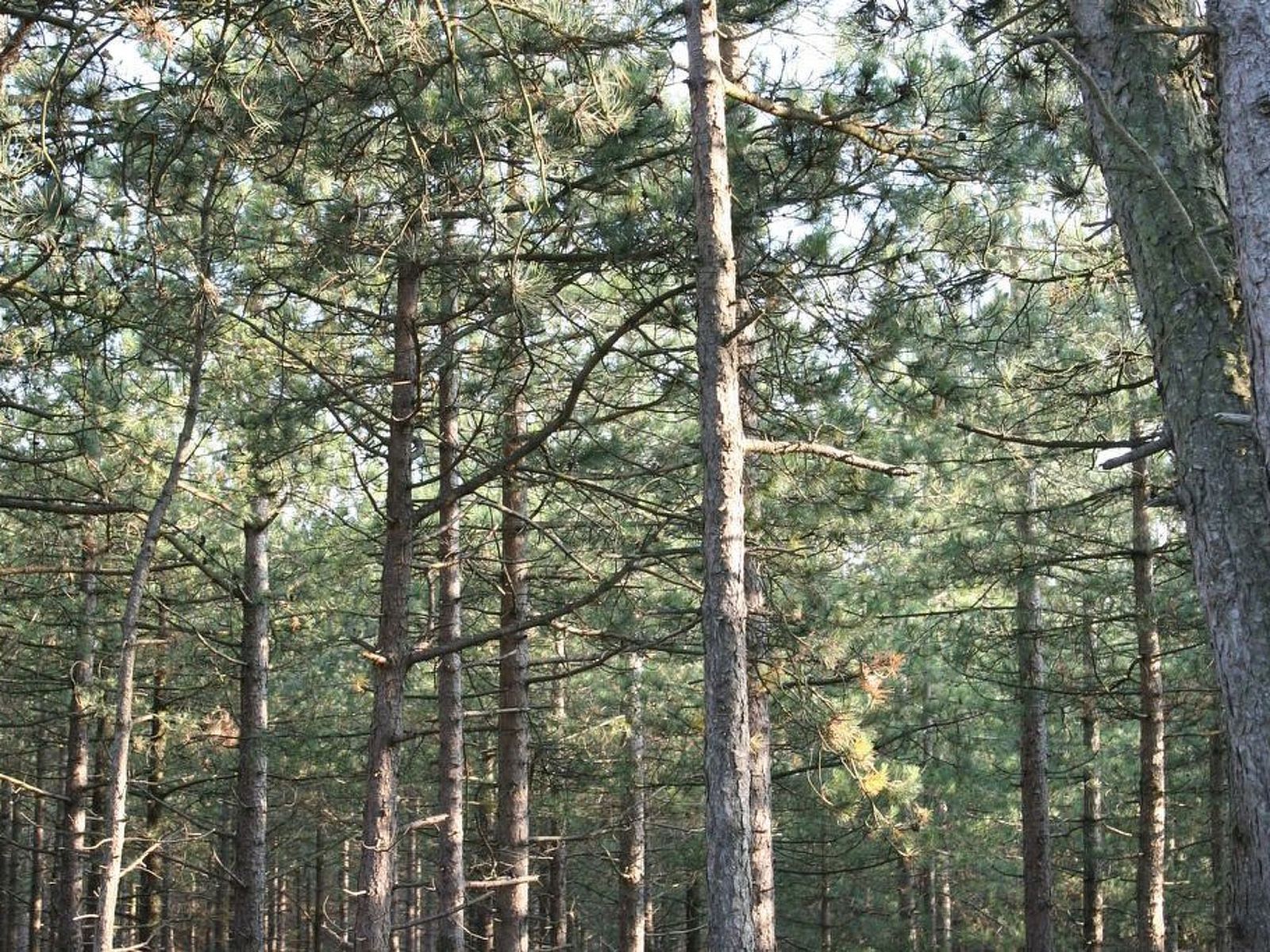 Unterkunft 4504176 - Ferienhaus Noordzeekust - Vakantiehuis "De Korre 4" mit privatem Garten und Terrasse