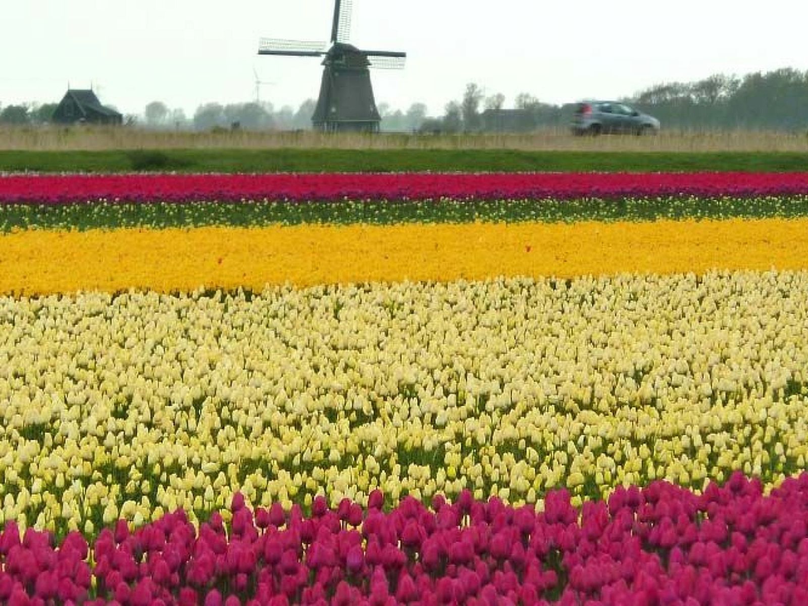 Verblijf 4504190 - Vakantiewoning Noordzeekust - Vakantiehuis De Blenck 66