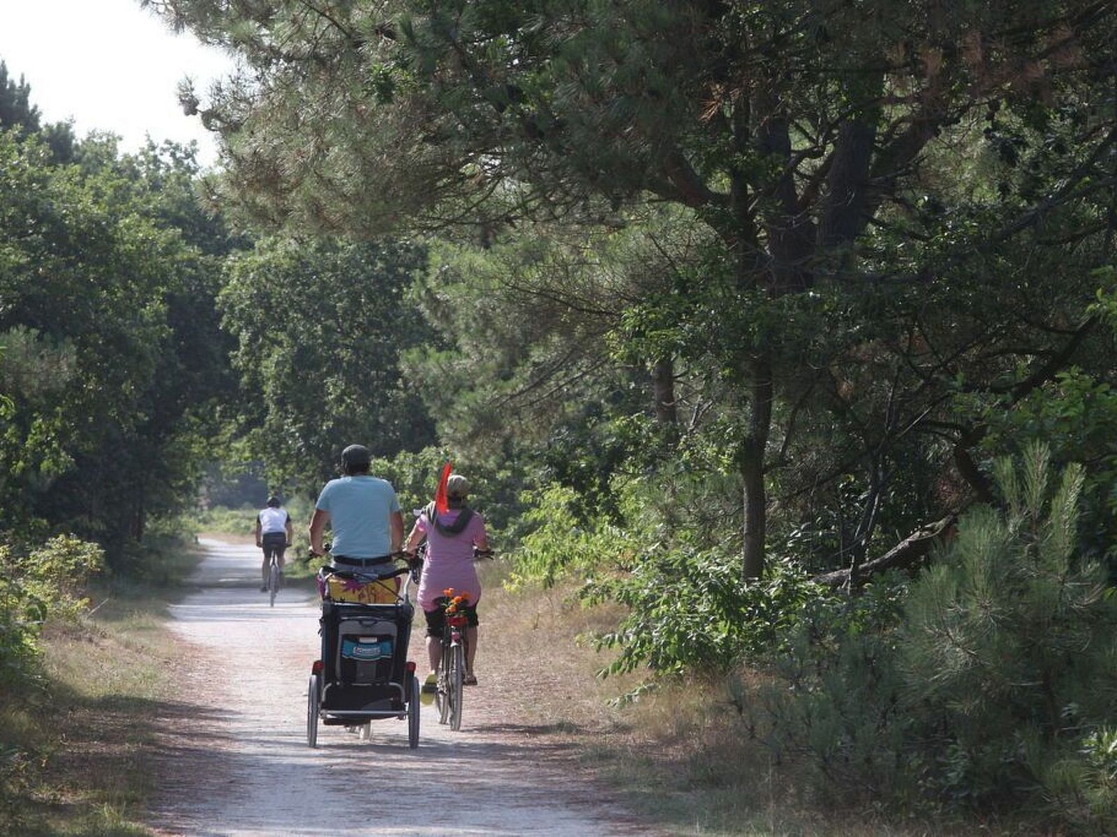 Verblijf 4504190 - Vakantiewoning Noordzeekust - Vakantiehuis De Blenck 66