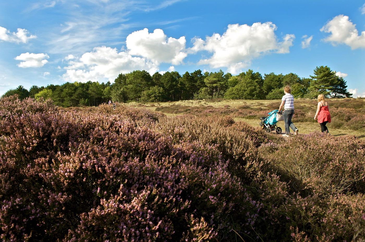 Wandern durch die Natur bei Wijde Blick 208 Callantsoog, Ferienhaus an der Nordseekueste.