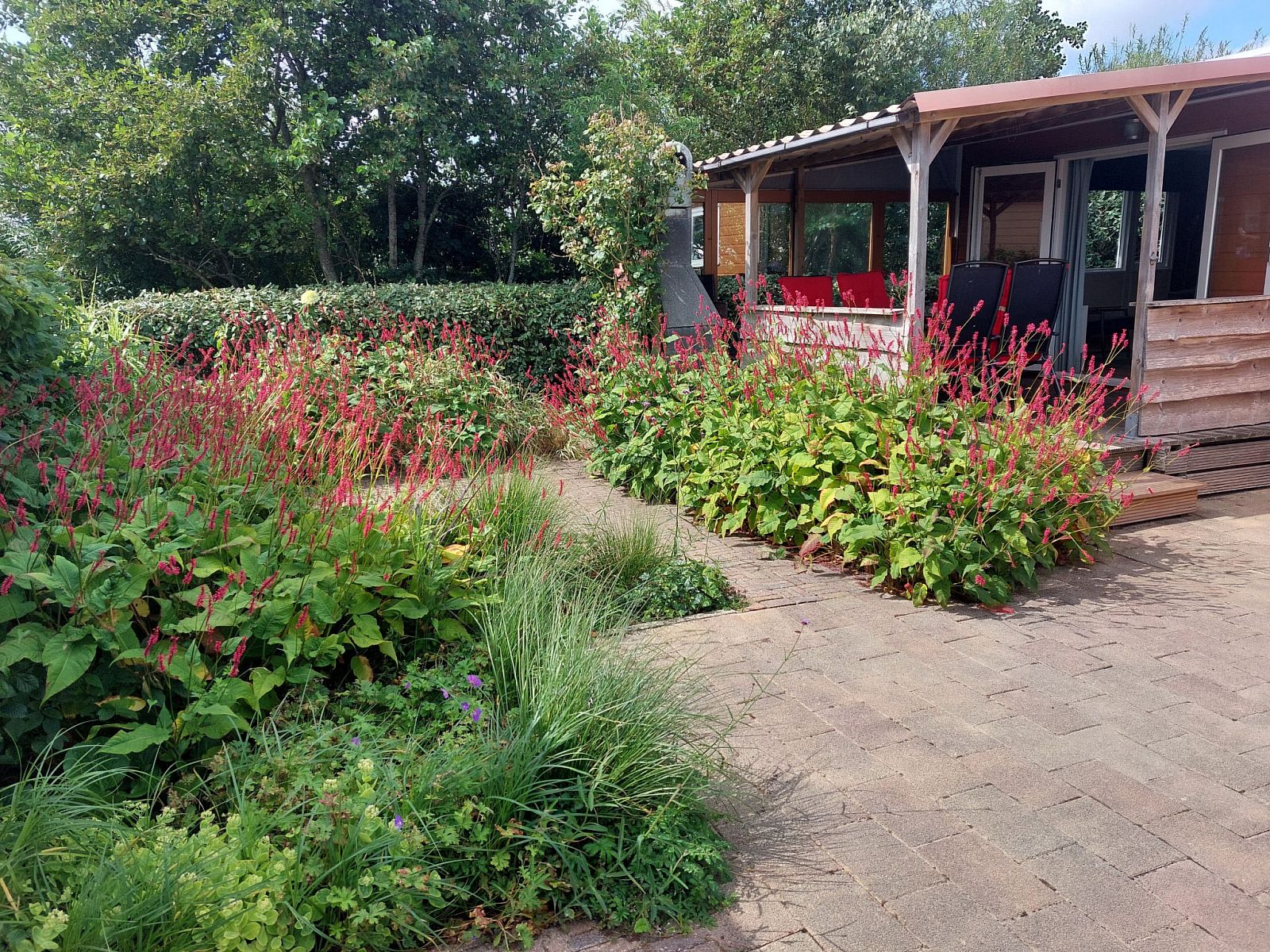 Verblijf 4504210 - Vakantiewoning Noordzeekust - Vakantiehuis CS 48 - Vakantiepark Callassande 4p