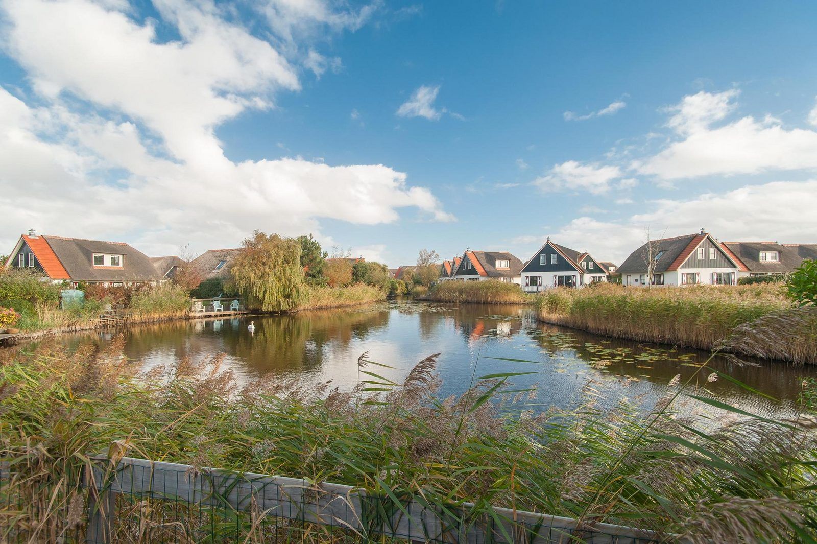 Unterkunft 4504230 - Ferienhaus Noordzeekust - De Buitenplaats 42