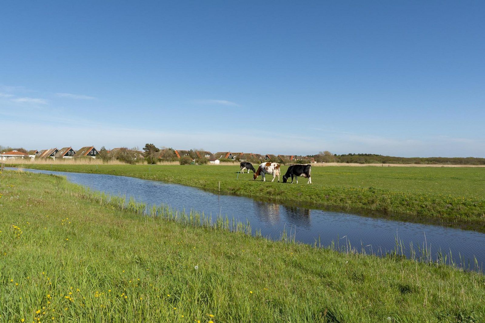 Unterkunft 4504230 - Ferienhaus Noordzeekust - De Buitenplaats 42