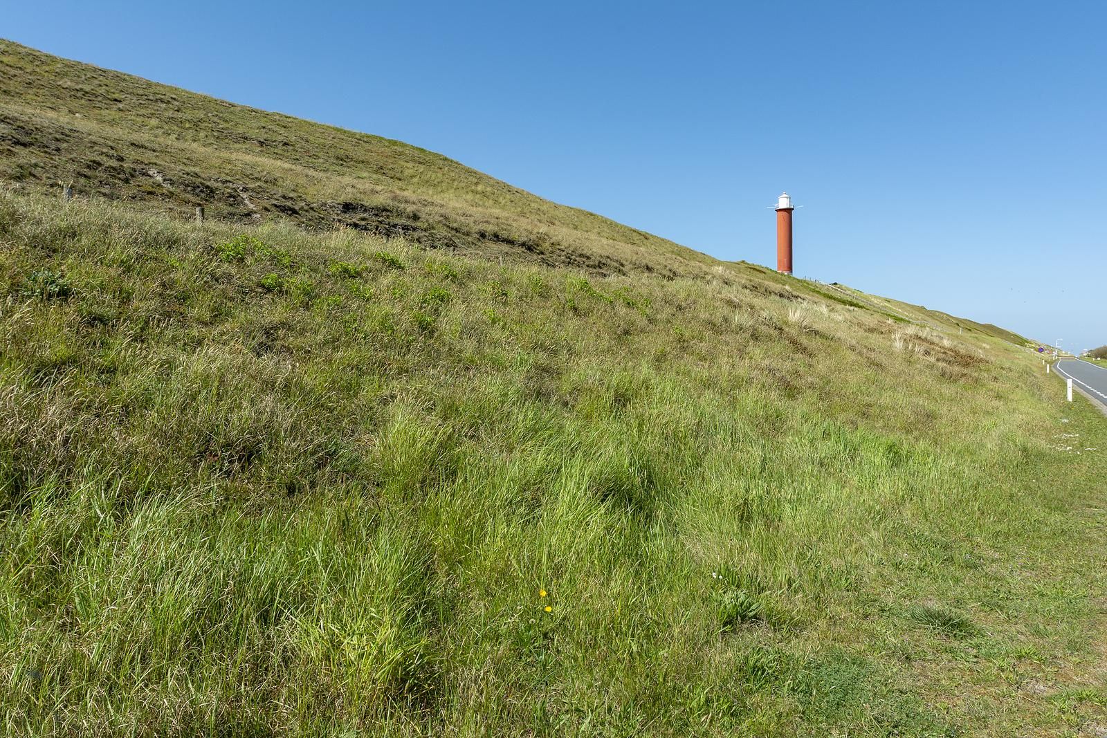 Verblijf 4504266 - Vakantiewoning Noordzeekust - Callantsduyne 21