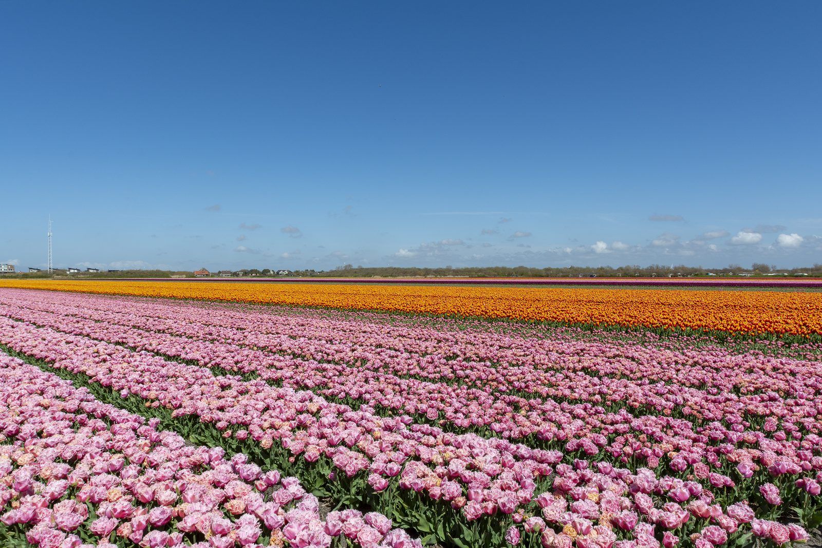 Verblijf 4504267 - Vakantiewoning Noordzeekust - De Bunker