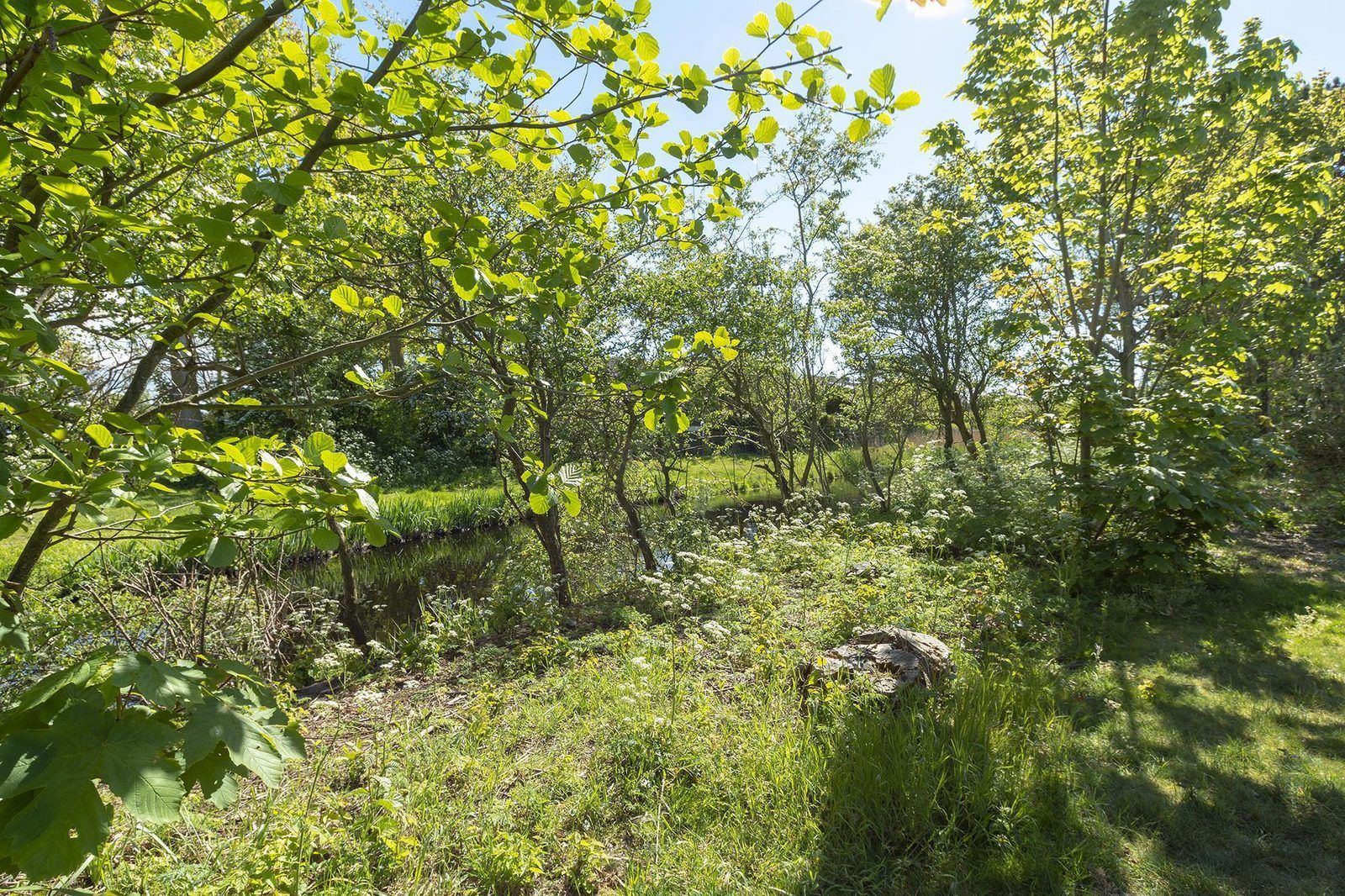 Unterkunft 4504275 - Ferienhaus Noordzeekust - Previnaireweg 34