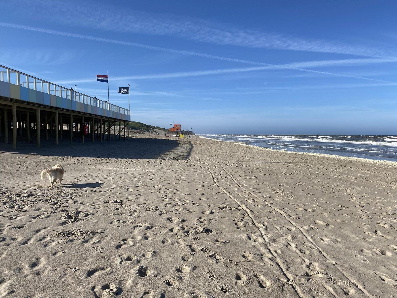 Unterkunft 4504277 - Ferienhaus Noordzeekust - Beach Appartement 28