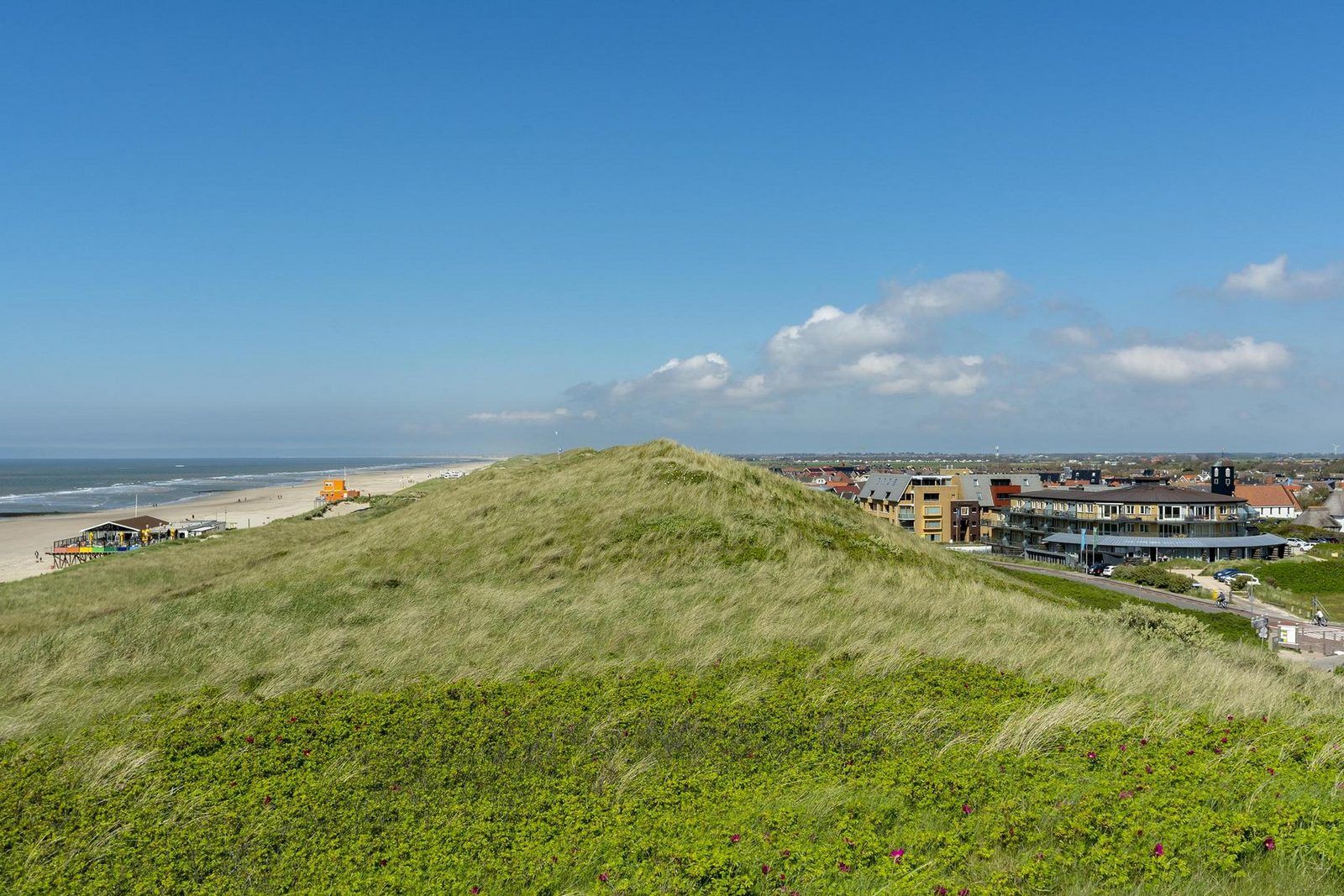 Guest house 4504298 - Holiday property Noordzeekust - Wijde Blick 205