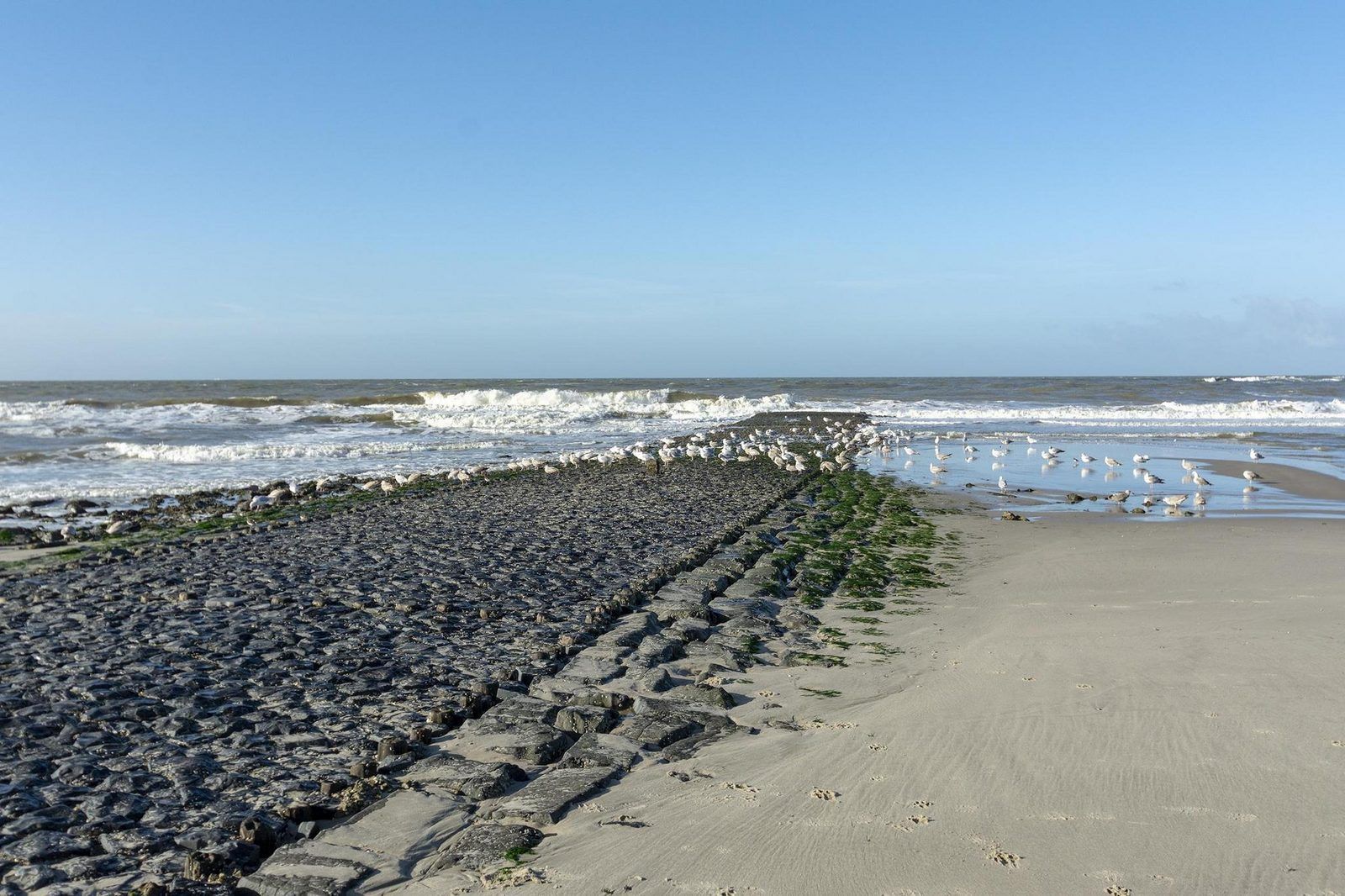 Guest house 4504309 - Holiday property Noordzeekust - Wijde Blick 311