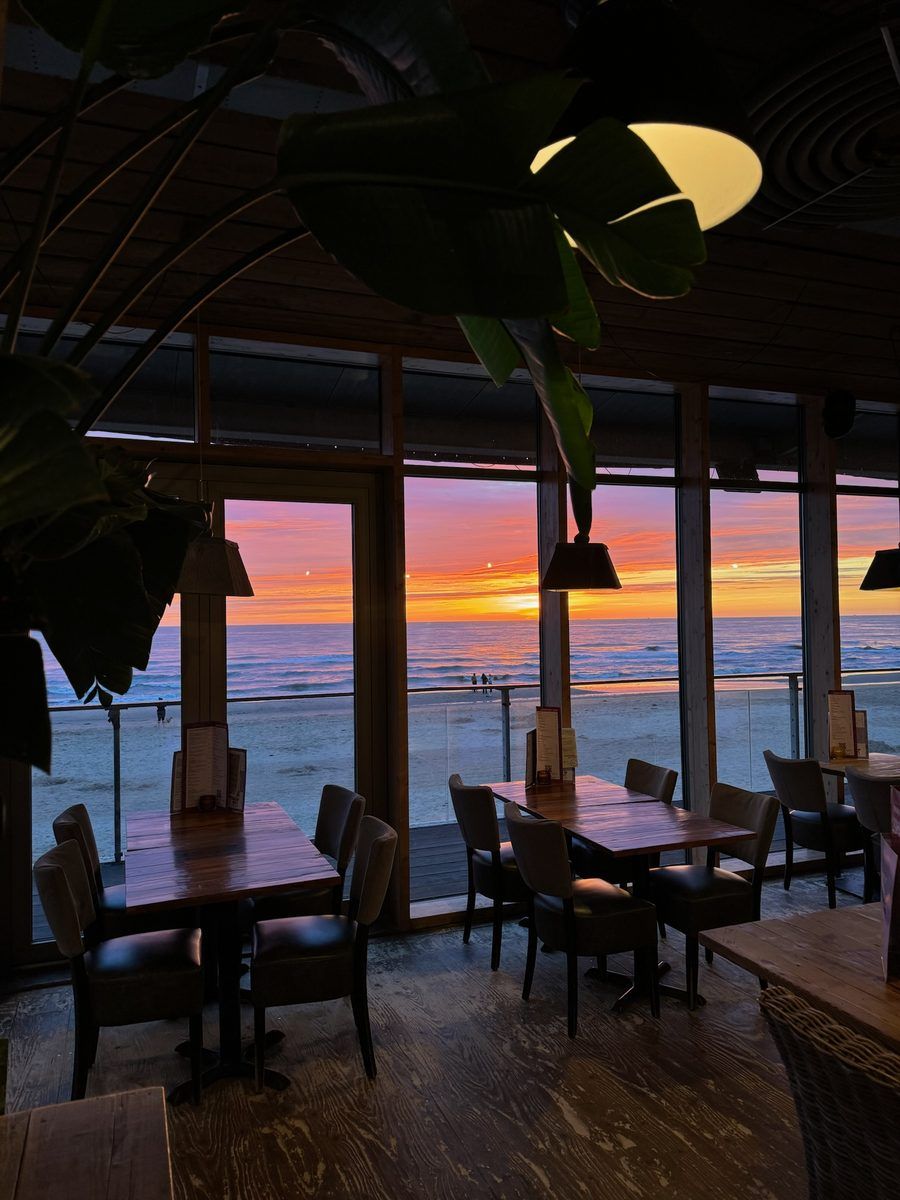 Unterkunft 4504312 - Ferienhaus Noordzeekust - Beach Lodge