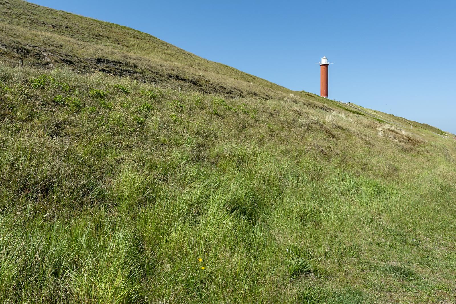 Unterkunft 4504319 - Ferienhaus Noordzeekust - Beach Appartement 04