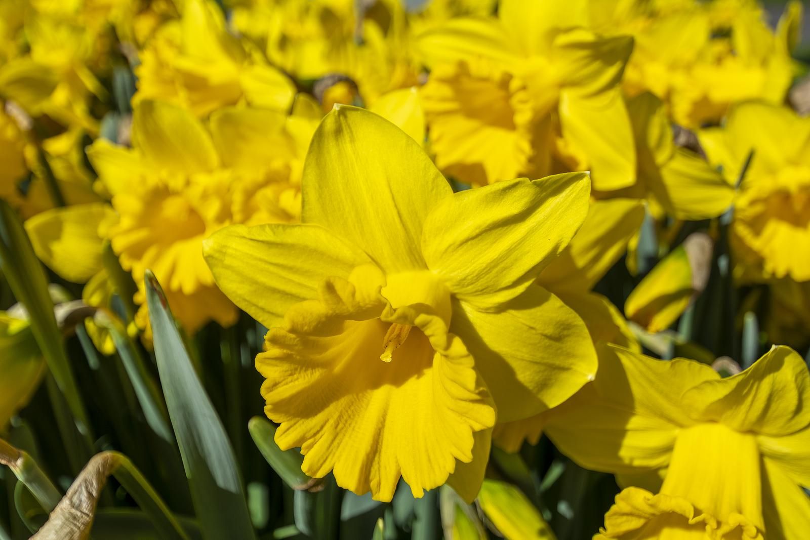 Unterkunft 4504319 - Ferienhaus Noordzeekust - Beach Appartement 04