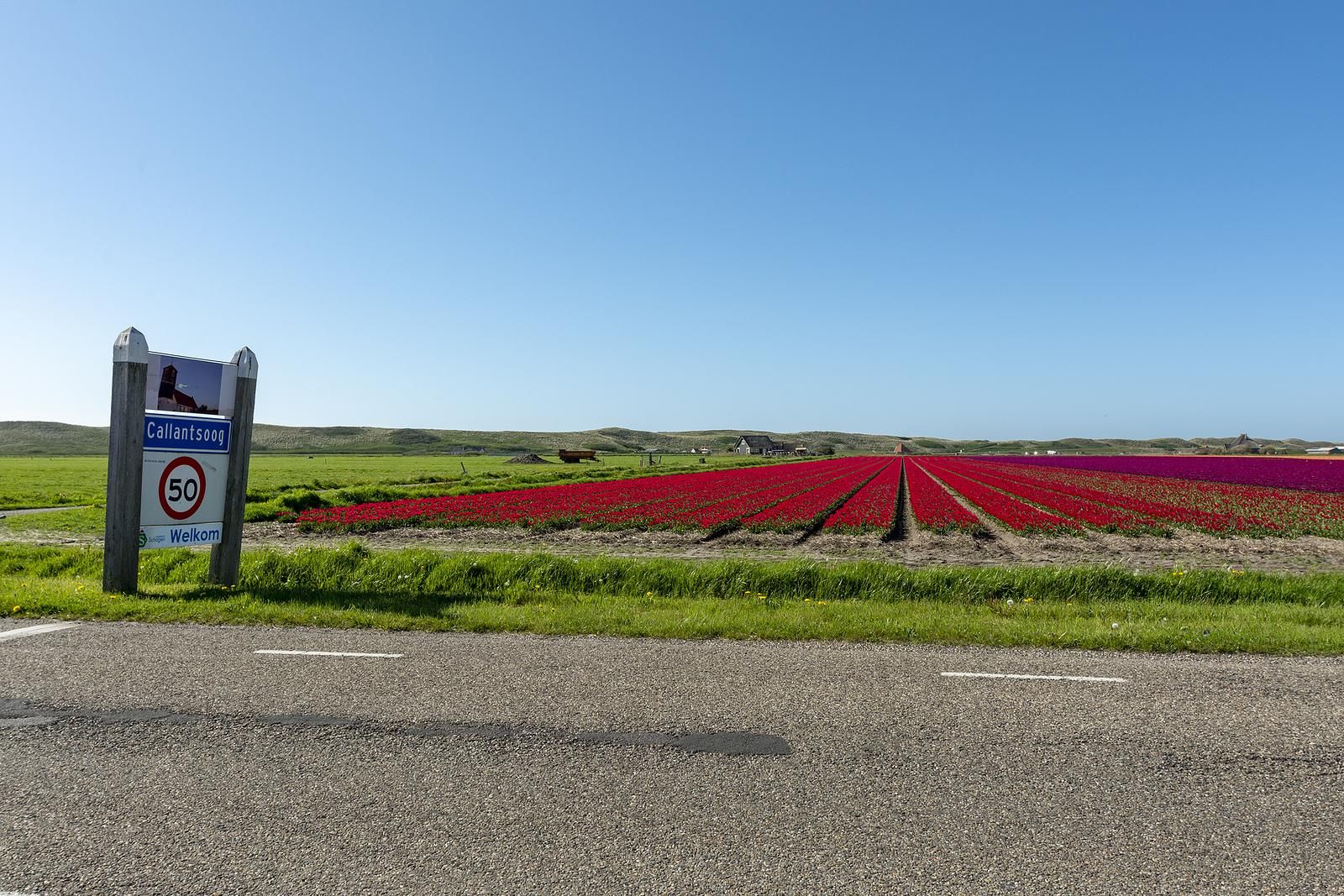 Unterkunft 4504319 - Ferienhaus Noordzeekust - Beach Appartement 04