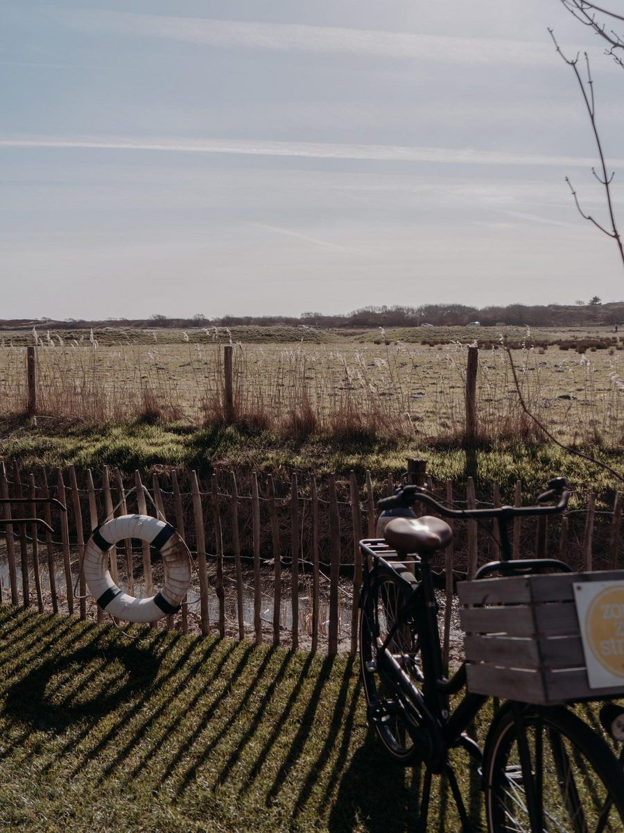 Unterkunft 4504334 - Ferienhaus Noordzeekust - Juttershut