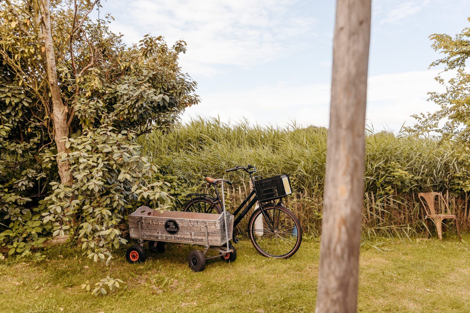 Unterkunft 4504334 - Ferienhaus Noordzeekust - Juttershut