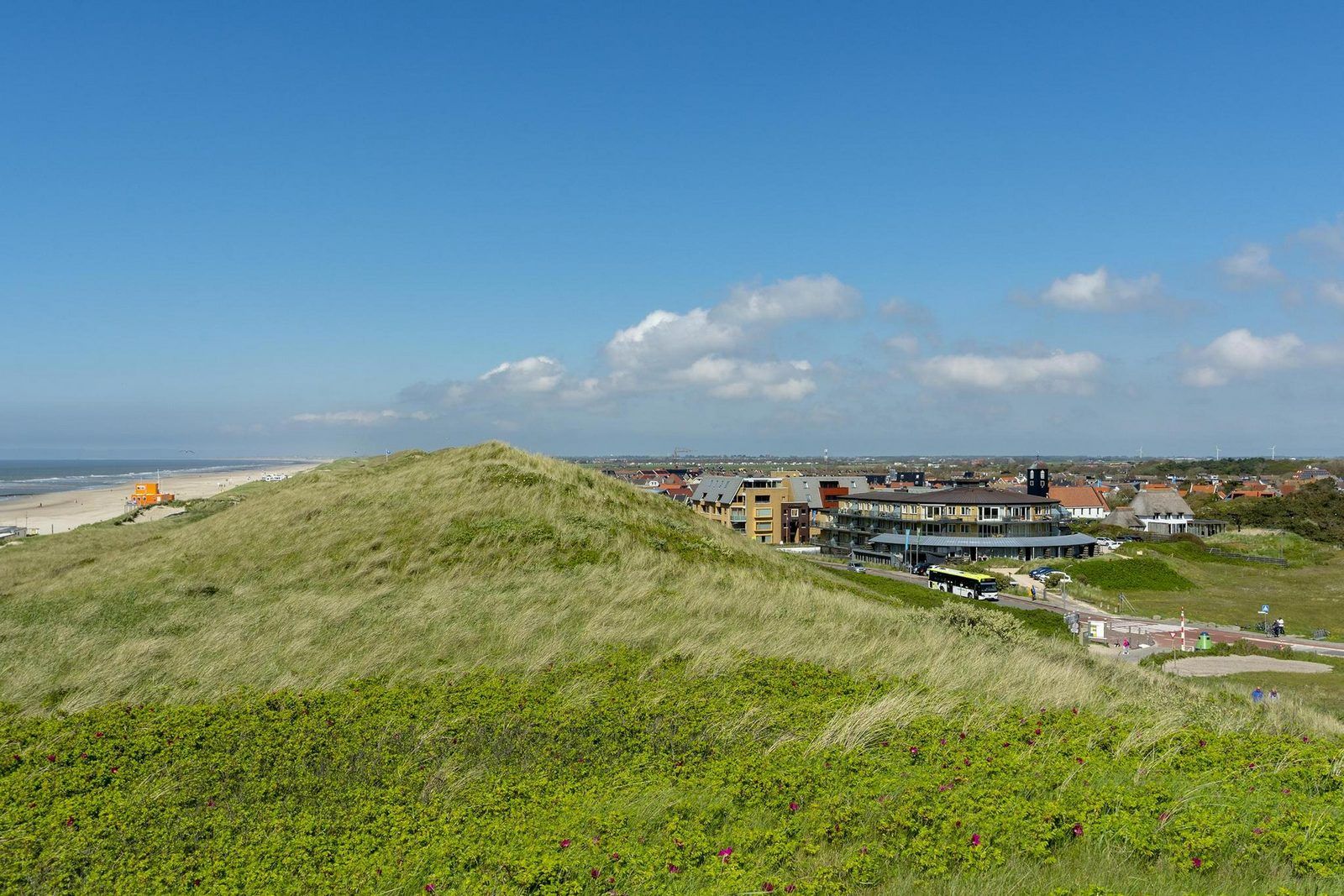 Unterkunft 4504348 - Ferienhaus Noordzeekust - Wijde Blick 103