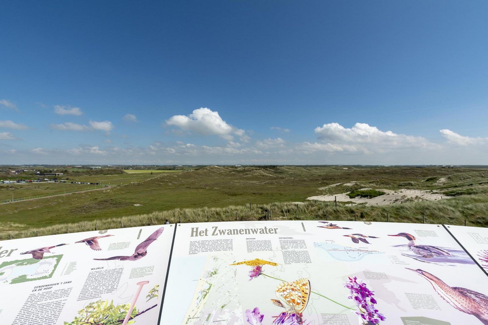 Unterkunft 4504348 - Ferienhaus Noordzeekust - Wijde Blick 103