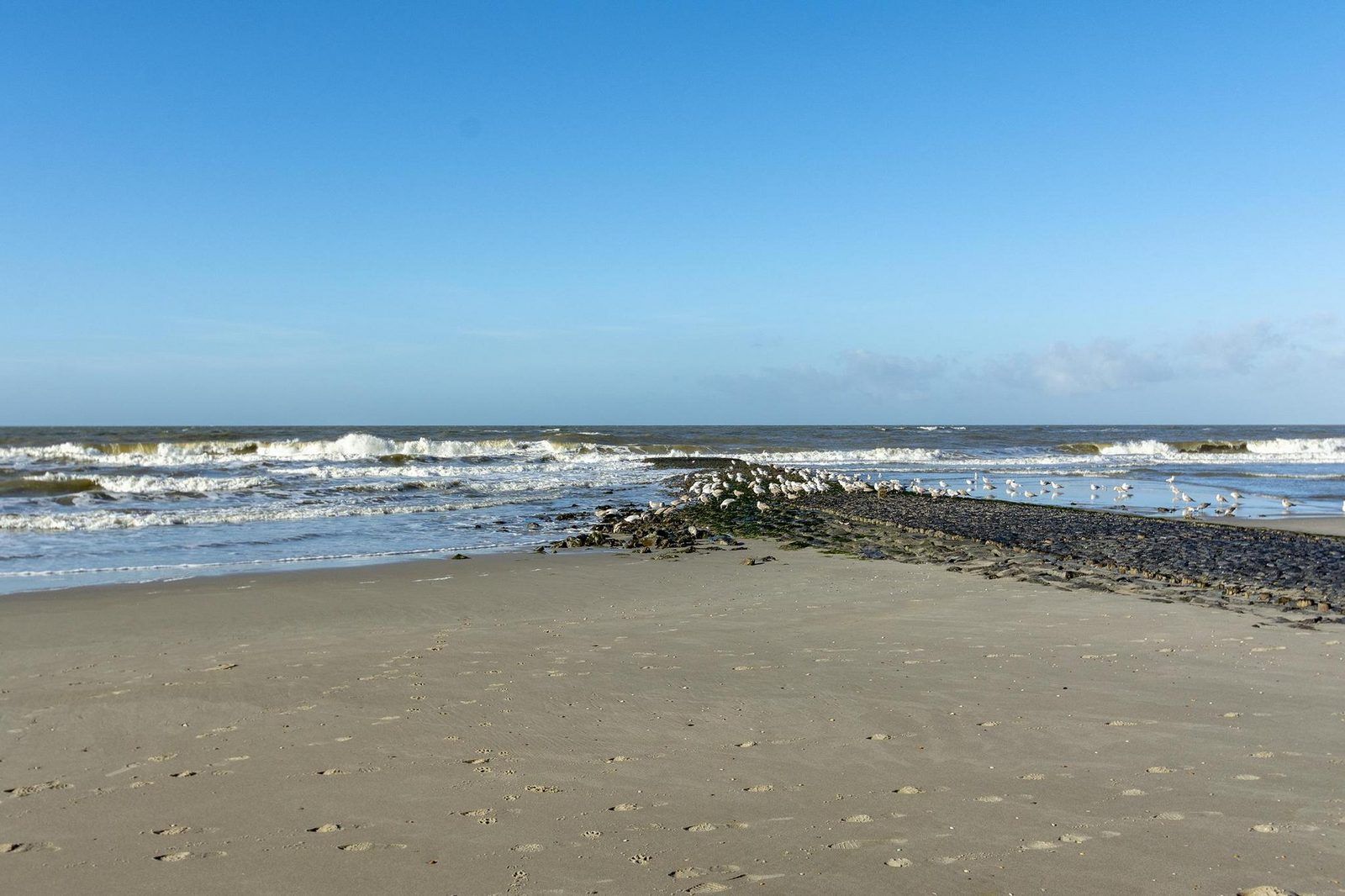 Guest house 4504356 - Holiday property Noordzeekust - Wijde Blick 310