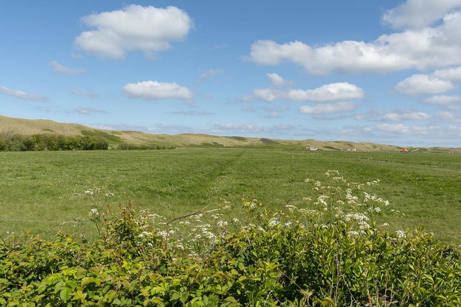 Guest house 4504363 - Holiday property Noordzeekust - Garnekuul 26