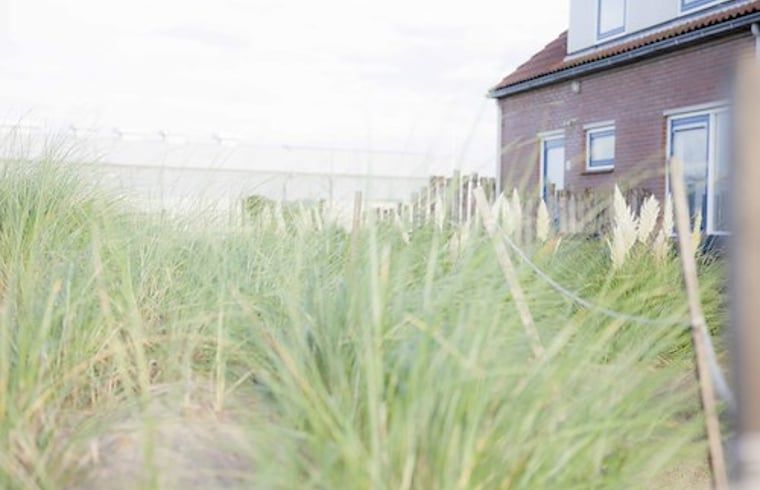 Aussenbereich des Ferienhauses in Callantsoog, Nordseekueste, Nordholland, umgeben von Duenengras.