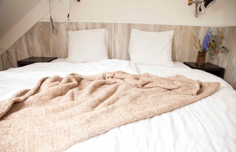 Geraeumiges Schlafzimmer im Ferienhaus in Callantsoog, Nordseekueste, Nordholland, mit stilvoller Einrichtung.