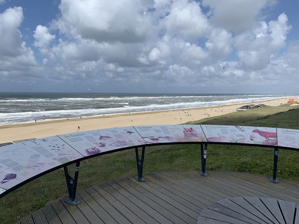 Guest house 4504521 - Holiday property Noordzeekust - 232408