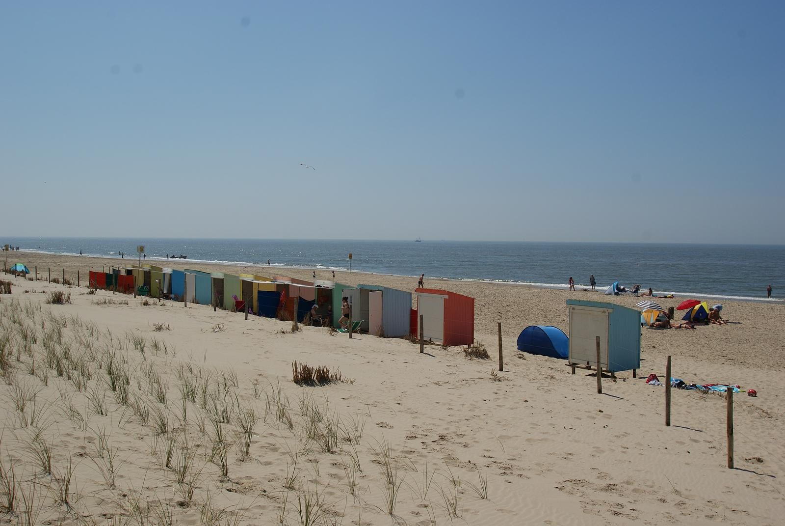 Guest house 4504549 - Holiday property Noordzeekust - Suite Koeboet