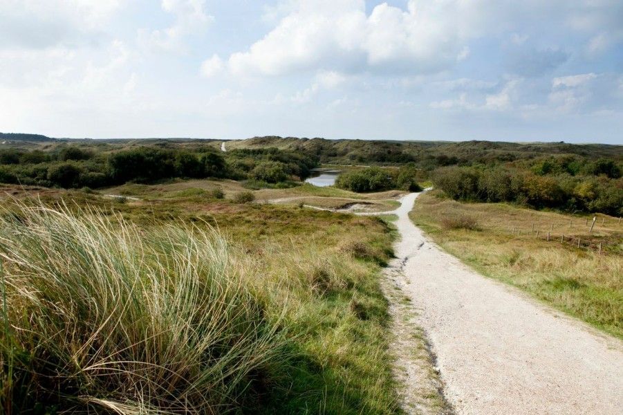 Prachtige duinen bij vakantiehuis AanNoordzee.nl, Noordzeekust, Noord-Holland.