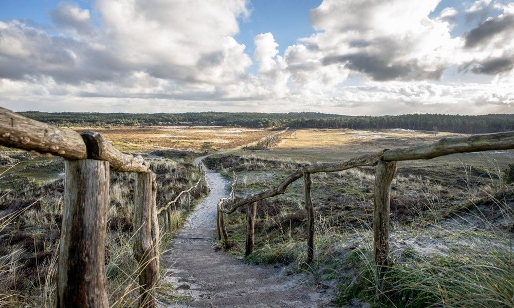Natuurlijke omgeving bij vakantiehuis AanNoordzee.nl, Noordzeekust, Noord-Holland.