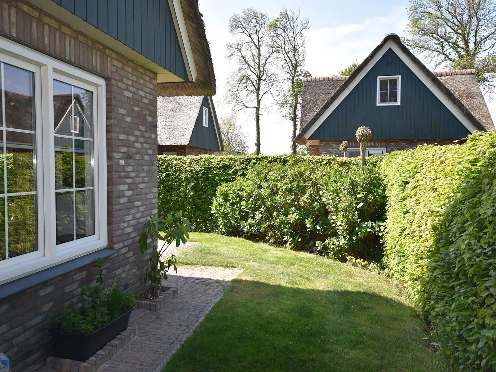 Unterkunft 4506114 - Ferienhaus Noordzeekust - Anzelhoef 11