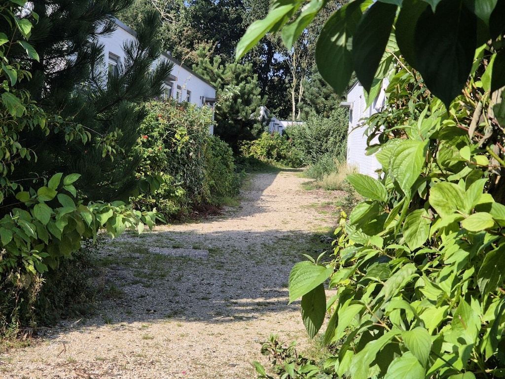Unterkunft 4506205 - Ferienhaus Noordzeekust - 271375