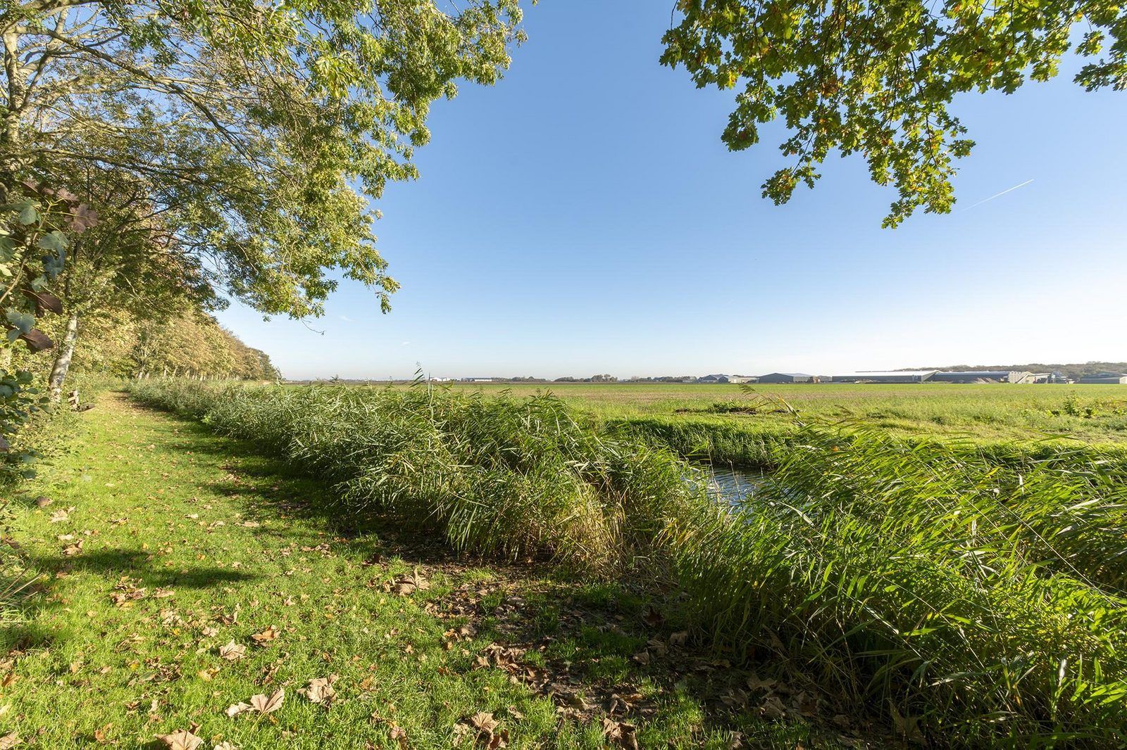 Guest house 450639 - Holiday property Noordzeekust - Duinland 110